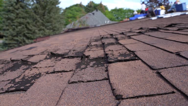 Best Metal Roofing Installation  in Oak Grove, VA