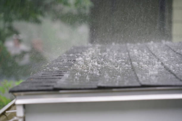 Best Roof Leak Repair  in Oak Grove, VA